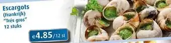 Aronde Escargots frankrijk trés gros aanbieding