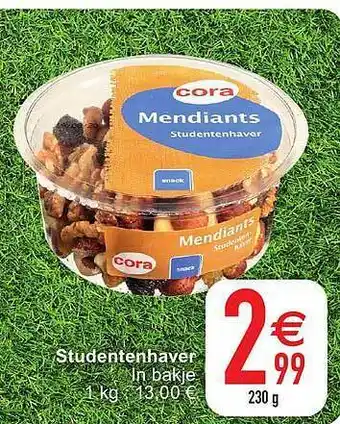 Studentenhaver