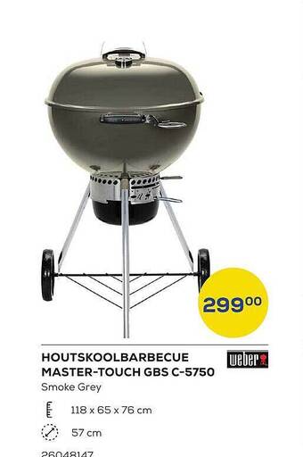 Houtskoolbarbecue Mastertouch