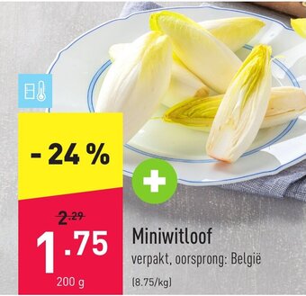 ALDI Miniwitloof 200g aanbieding