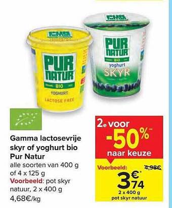Carrefour Gamma Lactosevrije Skyr Of Yoghurt Bio Pur Natur aanbieding
