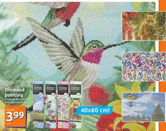Action Diamond Painting Diverse Dessins, 40 x 60 cm Per stuk aanbieding