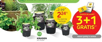 Kruiden