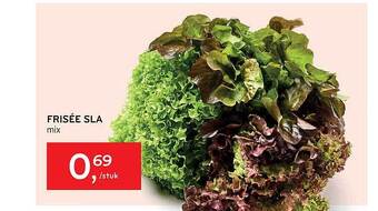 Alvo Frisée Sla aanbieding