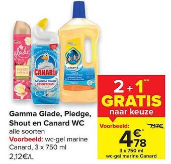 Carrefour Gamma Glade, Pledge, Shout En Canard Wc aanbieding