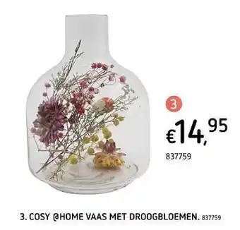 Dreamland Cosy @home vaas met droogbloemen aanbieding