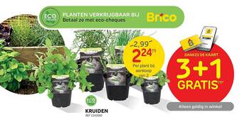 Brico Kruiden aanbieding