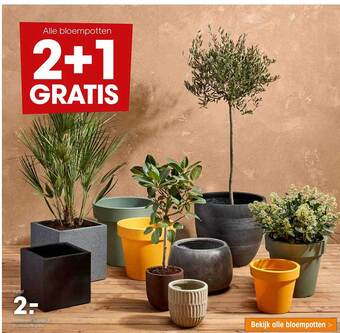 Kwantum Bloempotten aanbieding