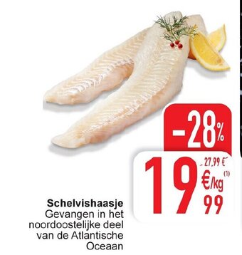 Schelvishaasje