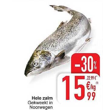 Hele Zalm