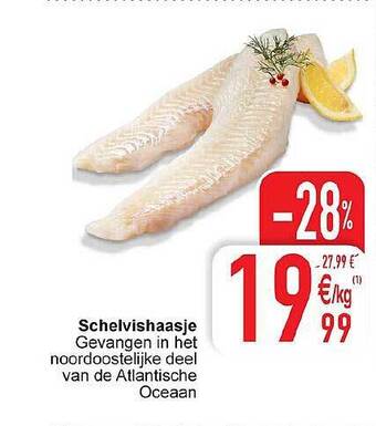 Cora Schelvishaasje aanbieding