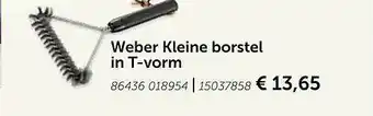 Weber Kleine Borstel In Tvorm