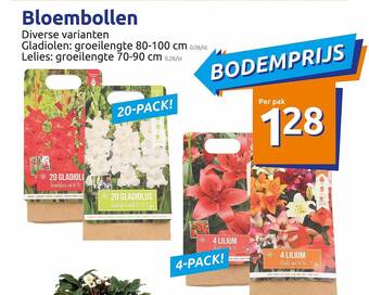 Action Bloembollen aanbieding