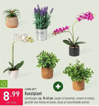 ALDI Kunstplant aanbieding
