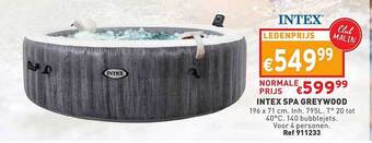 Trafic Intex Spa Greywood aanbieding