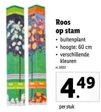 Lidl Roos op stam aanbieding