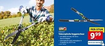 Lidl Telescopische heggenschaar aanbieding