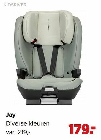Jay diverse kleuren