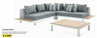 Molecule Tuinset hawai aanbieding