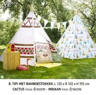 Tipi met bamboestokken cactus