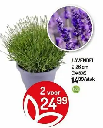 Oh Green Lavendel aanbieding
