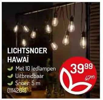 Lichtsnoer hawaï