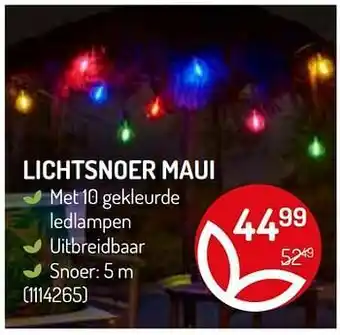 Lichtsnoer maui