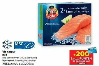 Atlantische zalmfilet