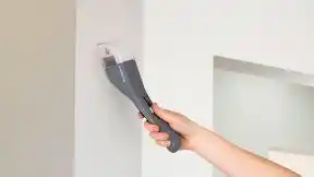 Insectenvanger