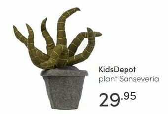 Baby & Tiener Kidsdepot plant sanseveria aanbieding