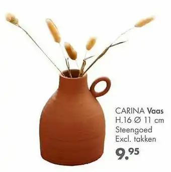 Carina vaas