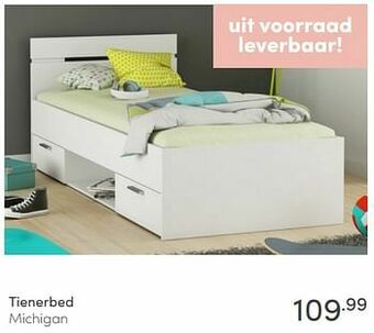 Baby & Tiener Tienerbed michigan aanbieding