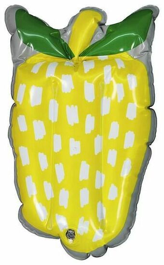 HEMA HEMA Hoofdkussen Opblaasbaar 25x40 Fruit aanbieding