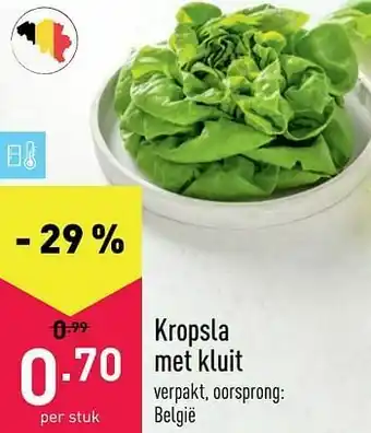 ALDI Kropsla met kluit aanbieding