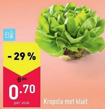 Kropsla met kluit