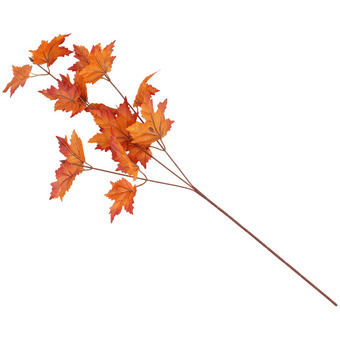 Herfstbladeren op tak