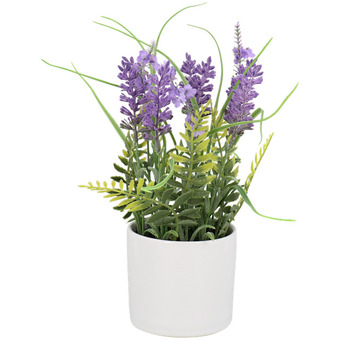 Lavendel