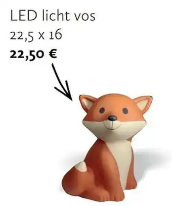 Led licht vos