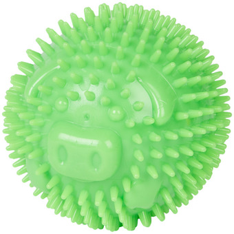 Action Honden speelgoedbal aanbieding