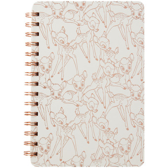Action Disney notitieboek A5 aanbieding