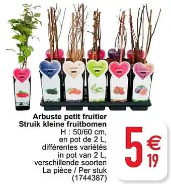 Cora Arbuste petit fruitier struik kleine fruitbomen aanbieding