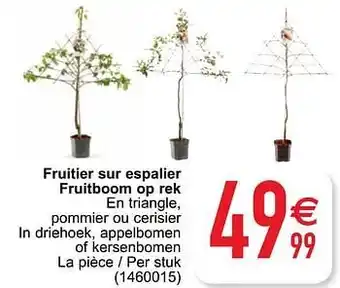 Cora Fruitier sur espalier fruitboom op rek aanbieding