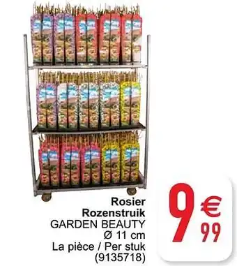 Rosier rozenstruik garden beauty 11cm
