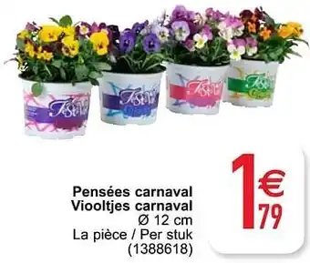 Pensées carnaval viooltjes carnaval 12cm
