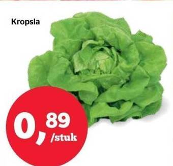 Kropsla