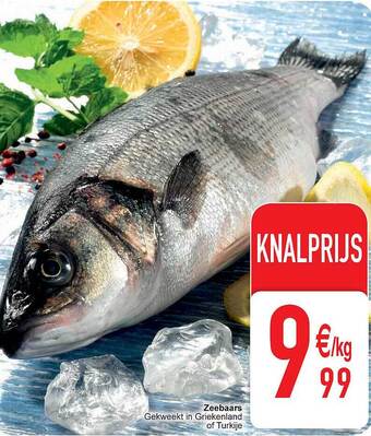 Cora Zeebaars aanbieding