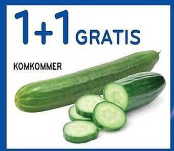 Alvo Komkommer aanbieding