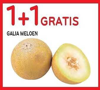 Alvo Galia Meloen aanbieding