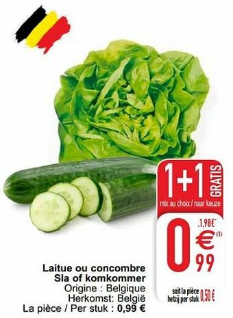 Laitue ou concombre sla of komkommer