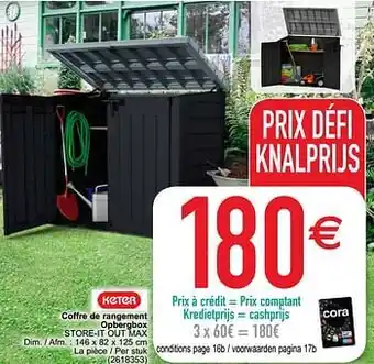 Cora Coffre de rangement opbergbox store-it out max aanbieding